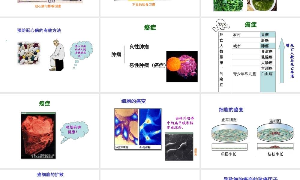 八年级生物下册 25.2 威胁健康的主要疾病课件 （新版）苏教版-（新版）苏教版初中八年级下册生物课件