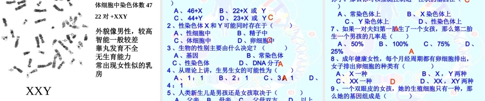 八年级生物下册 7.2.4 人的性别遗传课件 新人教版-新人教级下册生物课件