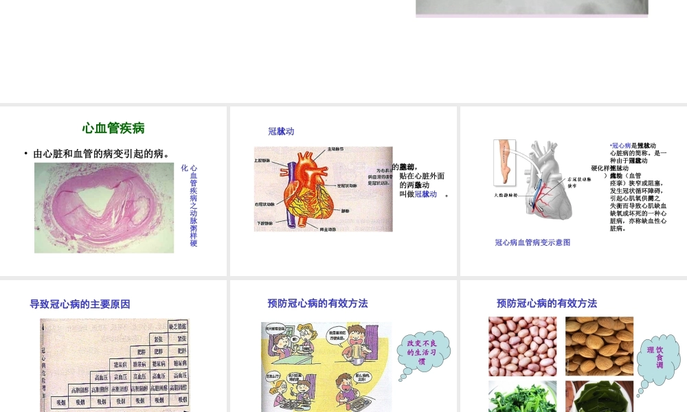 八年级生物下册 25.2 威胁健康的主要疾病课件 （新版）苏教版-（新版）苏教级下册生物课件