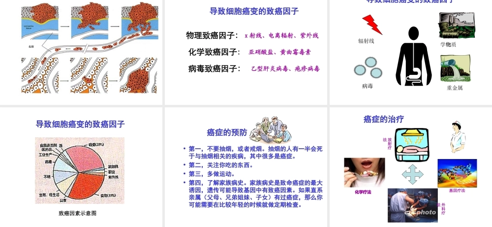 八年级生物下册 25.2 威胁健康的主要疾病课件 （新版）苏教版-（新版）苏教级下册生物课件