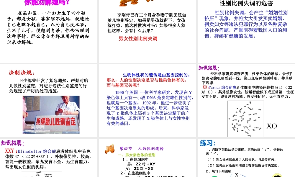 八年级生物下册 7.2.4 人的性别遗传课件（1） （新版）新人教版