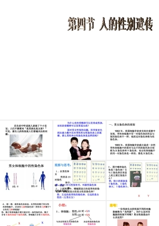 八年级生物下册 7.2.4 人的性别遗传课件（1） （新版）新人教版
