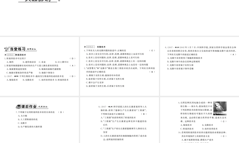八年级生物下册 25.2 现代生物技术课件 （新版）北师大版-（新版）北师大版初中八年级下册生物课件