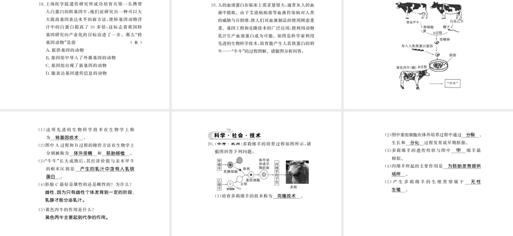 八年级生物下册 25.2 现代生物技术课件 （新版）北师大版-（新版）北师大版初中八年级下册生物课件