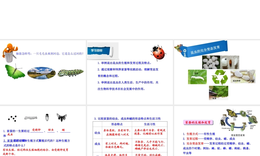 八年级生物下册 7.1.2 昆虫的生殖和发育课件 （新版）新人教版-（新版）新人教级下册生物课件