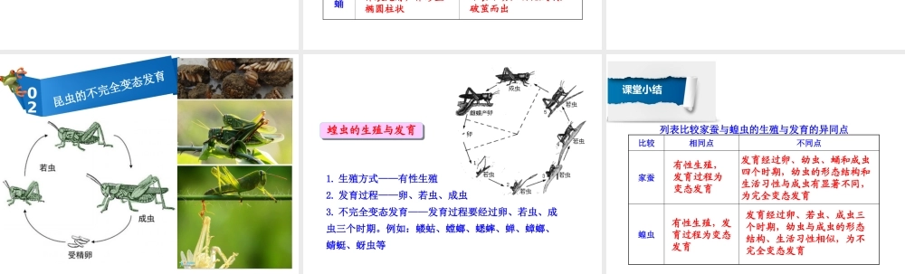 八年级生物下册 7.1.2 昆虫的生殖和发育课件 （新版）新人教版-（新版）新人教级下册生物课件