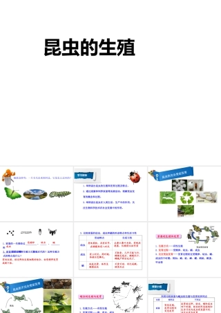 八年级生物下册 7.1.2 昆虫的生殖和发育课件 （新版）新人教版-（新版）新人教级下册生物课件