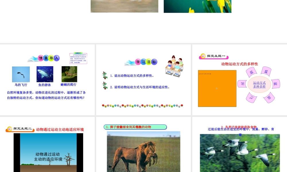 八年级生物下册 第16章 第一节 动物运动方式的多样性课件 苏教版