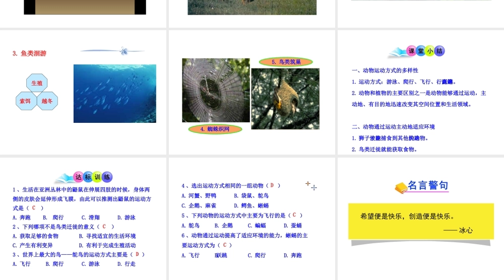 八年级生物下册 第16章 第一节 动物运动方式的多样性课件 苏教版