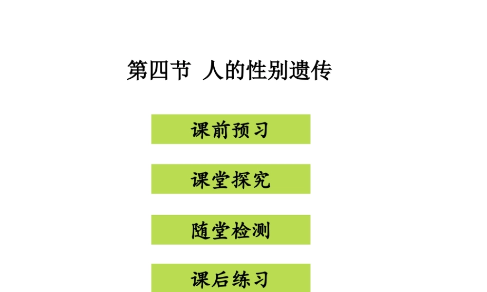 八年级生物下册 7.2.4 人的性别遗传课件（新版）新人教版-（新版）新人教版初中八年级下册生物课件
