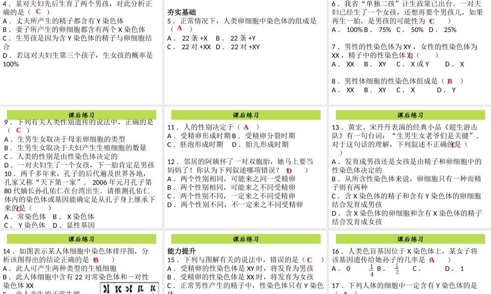 八年级生物下册 7.2.4 人的性别遗传课件（新版）新人教版-（新版）新人教版初中八年级下册生物课件