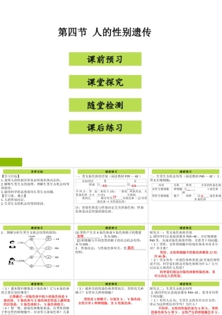 八年级生物下册 7.2.4 人的性别遗传课件（新版）新人教版-（新版）新人教版初中八年级下册生物课件