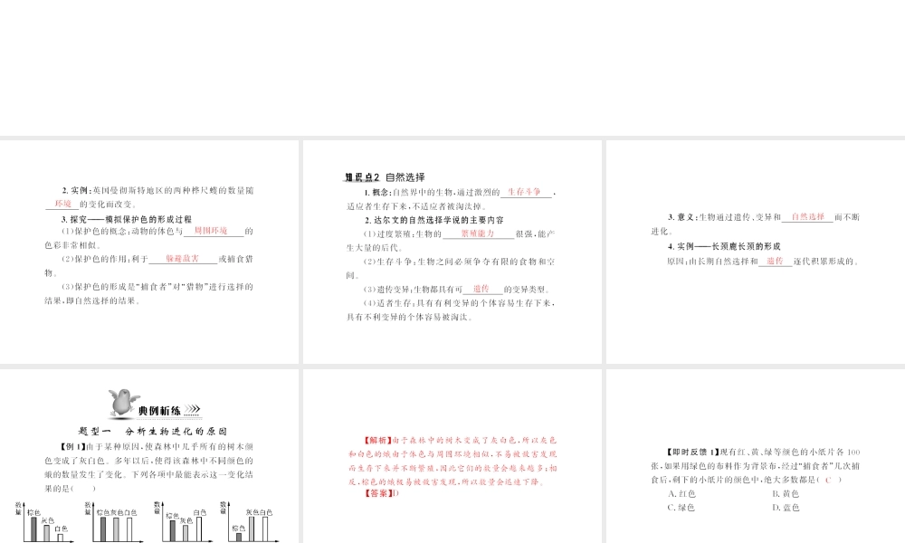 八年级生物下册 7.3.3《生物进化的原因》配套课件 人教新课标版