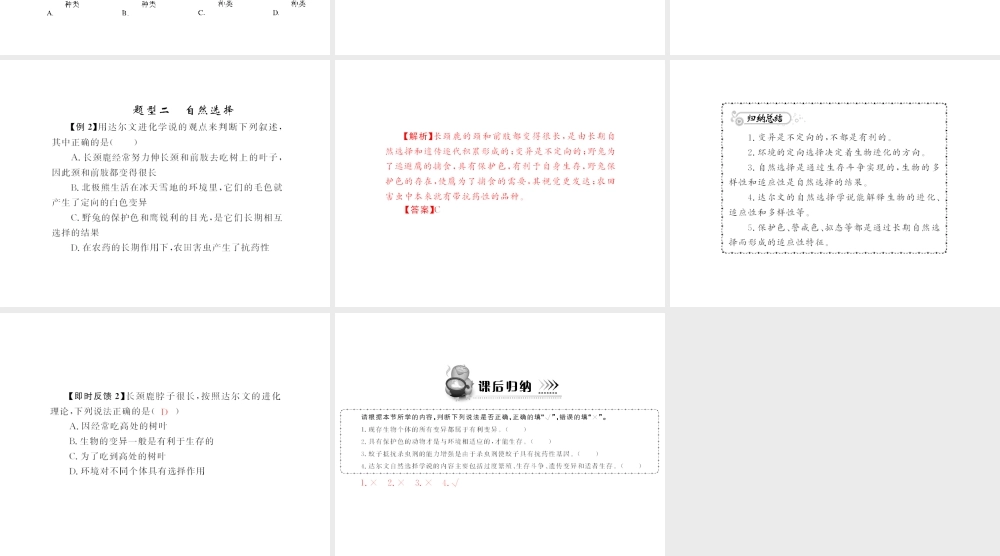 八年级生物下册 7.3.3《生物进化的原因》配套课件 人教新课标版