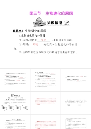 八年级生物下册 7.3.3《生物进化的原因》配套课件 人教新课标版