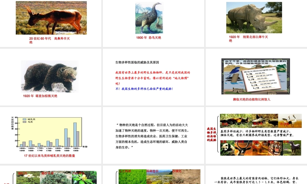 八年级生物下册 7.3.3保护生物多样性教学课件 （新版）冀教版-（新版）冀教版初中八年级下册生物课件