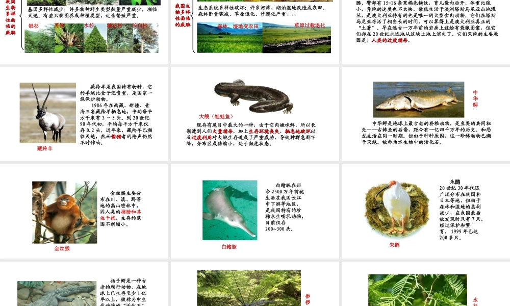 八年级生物下册 7.3.3保护生物多样性教学课件 （新版）冀教版-（新版）冀教版初中八年级下册生物课件