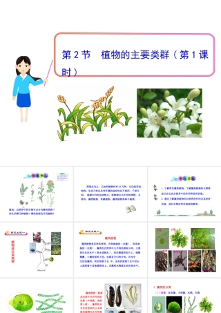 八年级生物下册 22.3 植物的主要类群课件 北师大版-北师大版初中八年级下册生物课件
