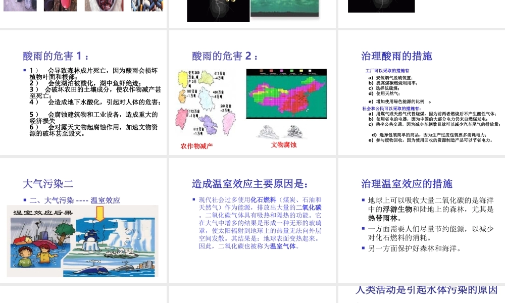 八年级生物下册 25.2《环境的污染与保护》课件 苏科版