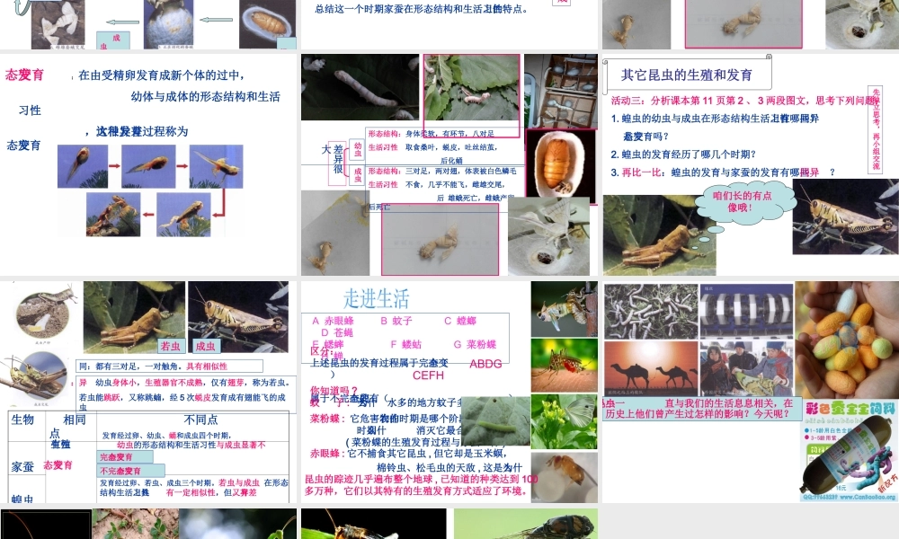 八年级生物下册 7.1.2 昆虫的生殖和发育课件 （新版）新人教版