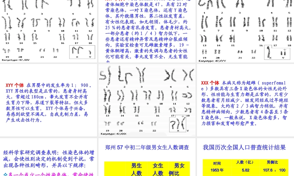 八年级生物下册 7.2.4 人的性别遗传课件1 新人教版