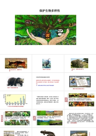八年级生物下册 7.3.3保护生物多样性教学课件 （新版）冀教版-（新版）冀教级下册生物课件