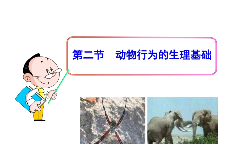 八年级生物下册 第17章 第二节 动物行为的生理基础课件 苏教版