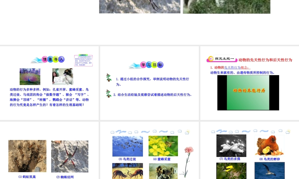八年级生物下册 第17章 第二节 动物行为的生理基础课件 苏教版
