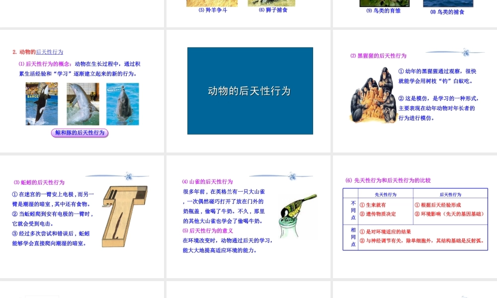 八年级生物下册 第17章 第二节 动物行为的生理基础课件 苏教版