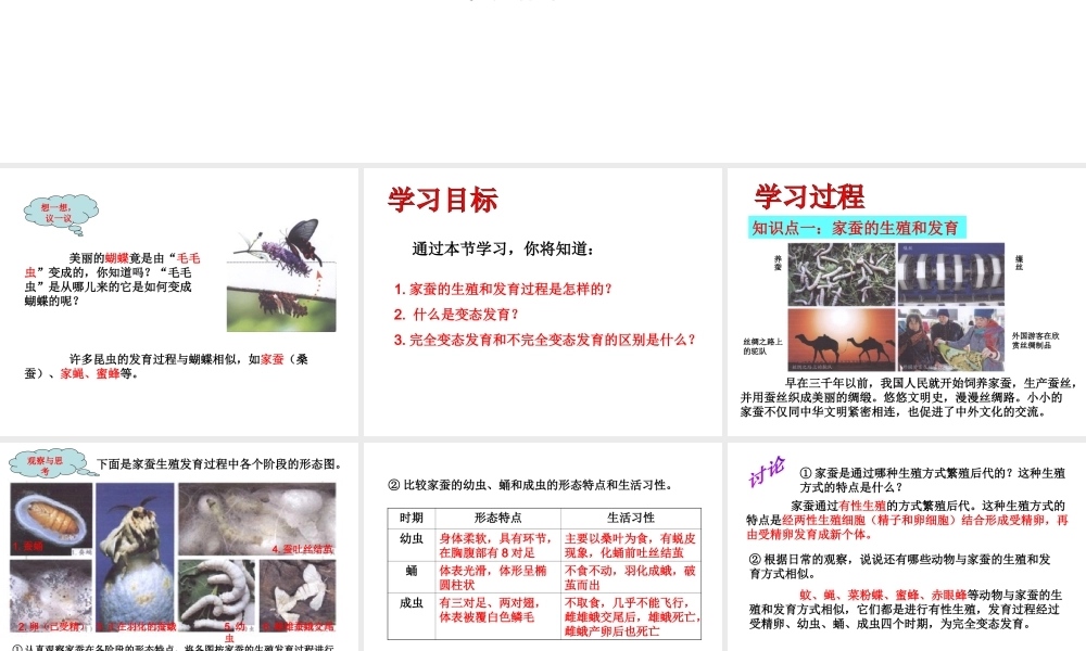 八年级生物下册 7.1.2 昆虫的生殖和发育课件 新人教版