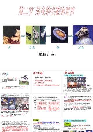 八年级生物下册 7.1.2 昆虫的生殖和发育课件 新人教版