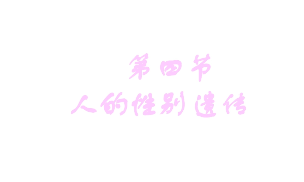 八年级生物下册 7.2.4 人的性别遗传课件2 （新版）新人教版