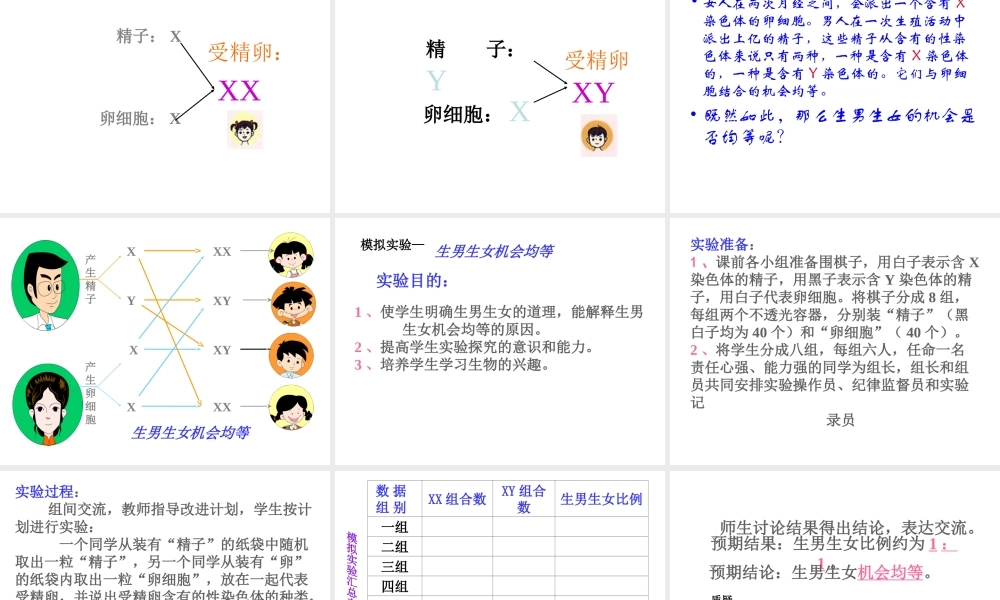 八年级生物下册 7.2.4 人的性别遗传课件2 （新版）新人教版