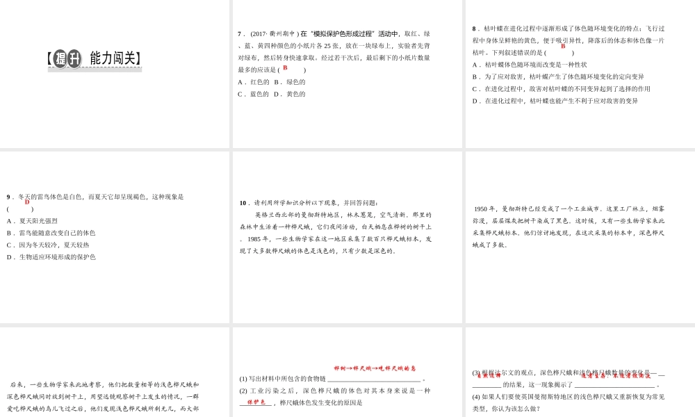 八年级生物下册 7.3.3生物进化的原因（第1课时）课件 （新版）新人教版-（新版）新人教版初中八年级下册生物课件