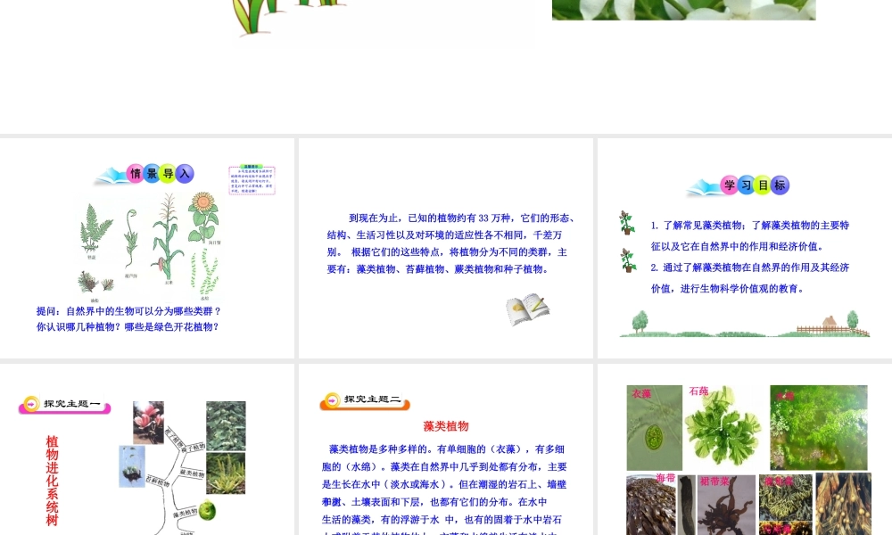 八年级生物下册 22.3 植物的主要类群课件 北师大版-北师大级下册生物课件