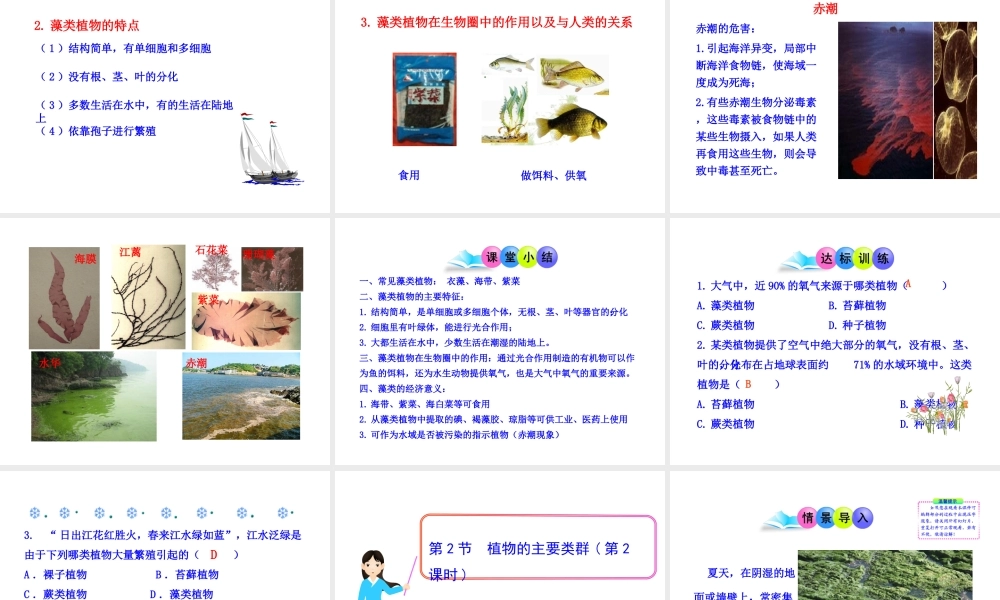 八年级生物下册 22.3 植物的主要类群课件 北师大版-北师大级下册生物课件