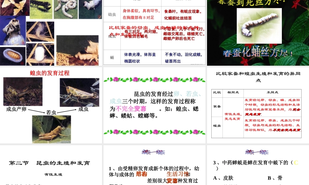 八年级生物下册 7.1.2 昆虫的生殖和发育课件 新人教版-新人教版初中八年级下册生物课件