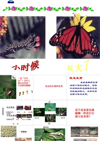八年级生物下册 7.1.2 昆虫的生殖和发育课件 新人教版-新人教版初中八年级下册生物课件