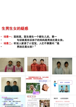 八年级生物下册 7.2.4 人的性别遗传课件2 新人教版