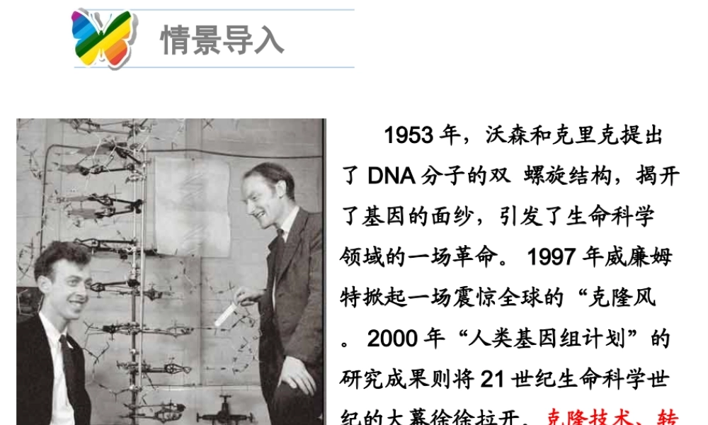 八年级生物下册 25.2《现代生物技术》课件 （新版）北师大版-（新版）北师大级下册生物课件