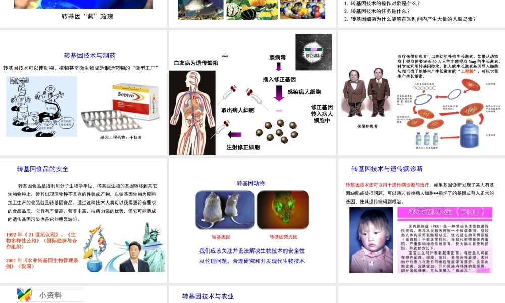 八年级生物下册 25.2《现代生物技术》课件 （新版）北师大版-（新版）北师大级下册生物课件