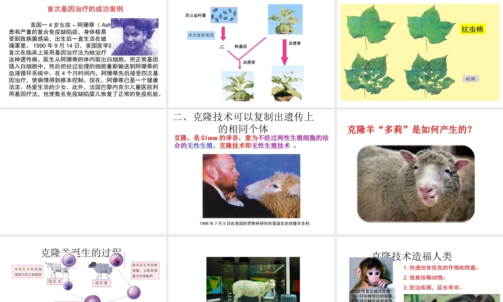八年级生物下册 25.2《现代生物技术》课件 （新版）北师大版-（新版）北师大级下册生物课件