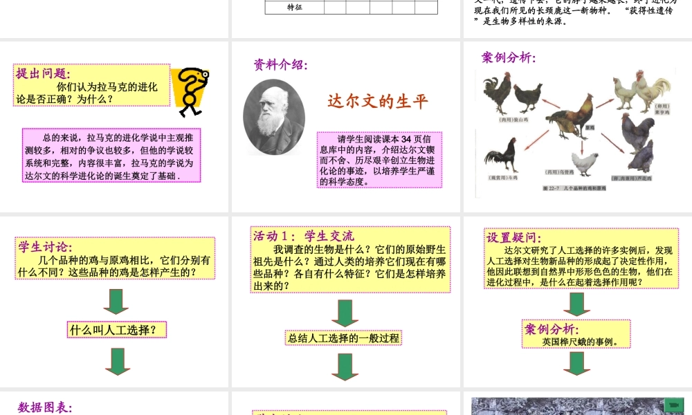 八年级生物下册 22.3《生物进化的原因》课件 苏科版