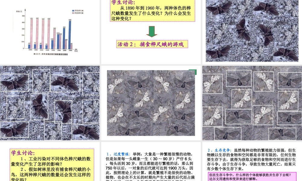 八年级生物下册 22.3《生物进化的原因》课件 苏科版