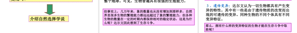 八年级生物下册 22.3《生物进化的原因》课件 苏科版