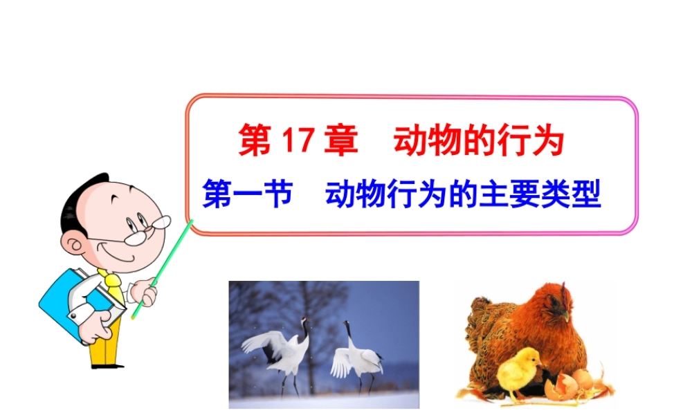 八年级生物下册 第17章 第一节 动物行为的主要类型课件 苏教版