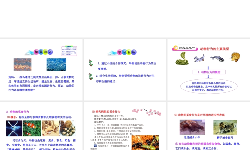 八年级生物下册 第17章 第一节 动物行为的主要类型课件 苏教版
