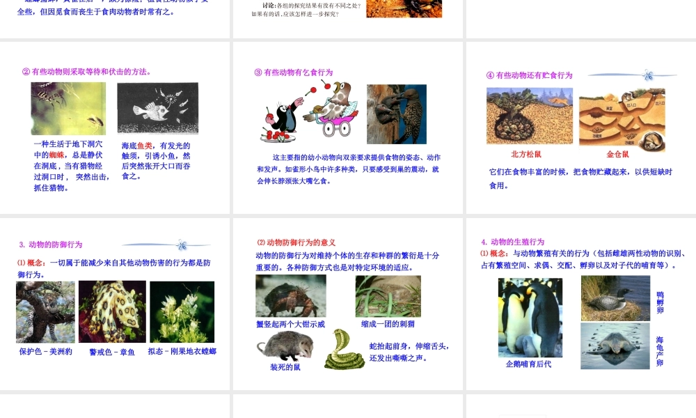 八年级生物下册 第17章 第一节 动物行为的主要类型课件 苏教版