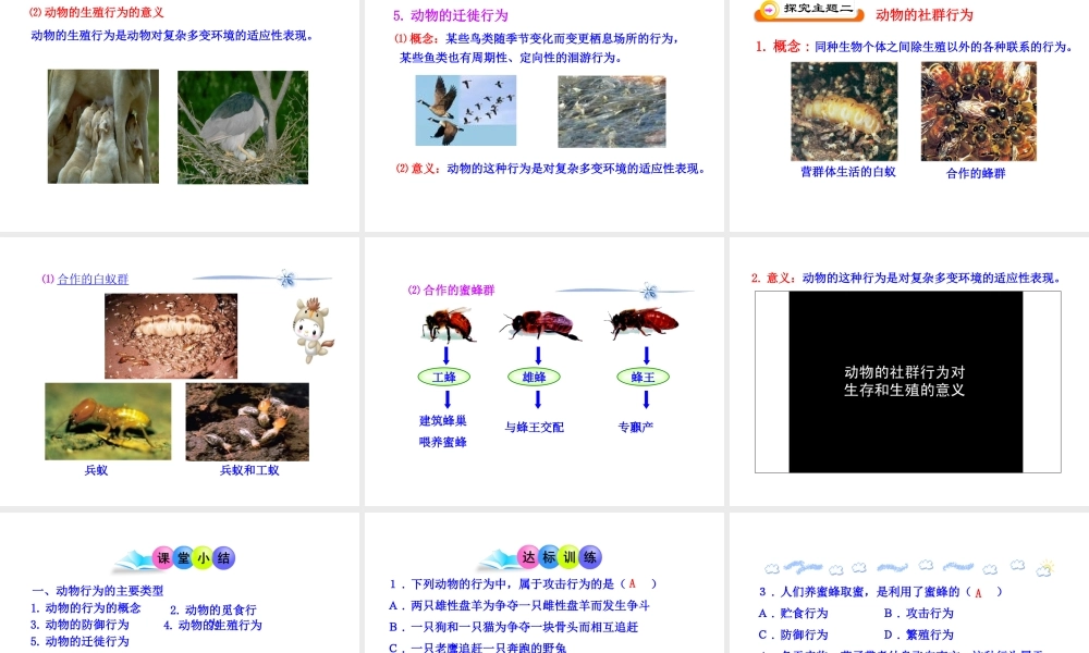八年级生物下册 第17章 第一节 动物行为的主要类型课件 苏教版
