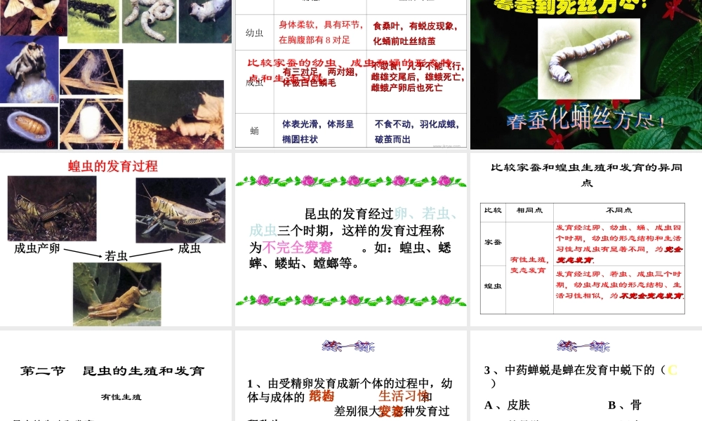 八年级生物下册 7.1.2 昆虫的生殖和发育课件 新人教版-新人教级下册生物课件